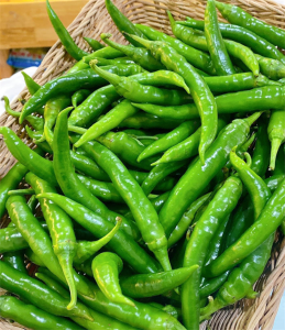 Green Chili /冷凍青唐辛子 / Ot xanh @250g
