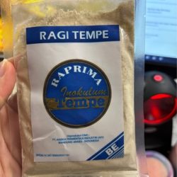 Ragi Tempe