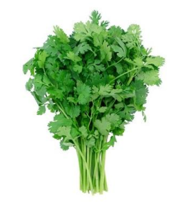 RAU MÙI/パクチー/ Coriander leaf 100g