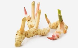 RIỀNG CỦ/冷凍ガランガル 250g