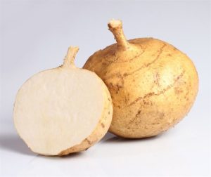 CỦ ĐẬU/ヒカマ