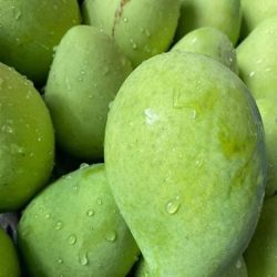 XOÀI CÁT CHU /青マンゴー / Green mango