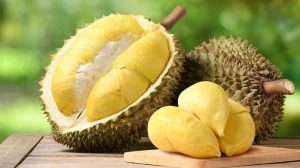 Sầu riêng quả