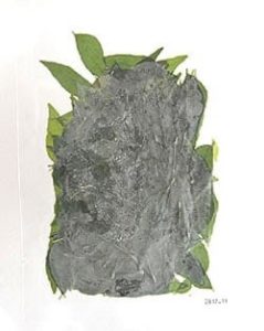 カレーリーフ( Daun Kari ) Curry Leaves 20g
