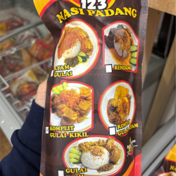 Raja Nasi Padang Komplit Gulai Kikil