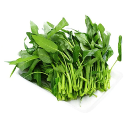 RAU MUỐNG/kangkung / Water Spanish