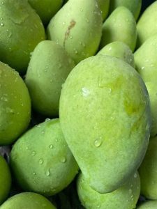 XOÀI CÁT CHU /青マンゴー / Green mango