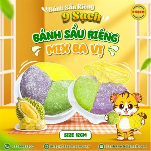 9 Sach Durain Cake 16 cm