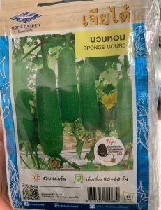 Sponge Gourd