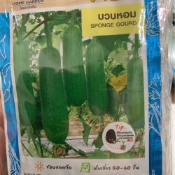 Sponge Gourd
