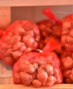 Bawang merah / hanh tim /エシャロット