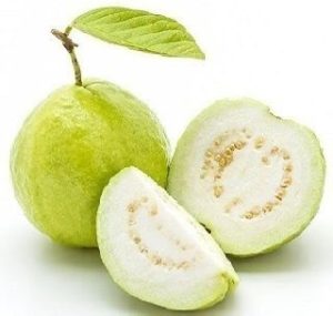QUẢ ỔI/グアバ/Guava